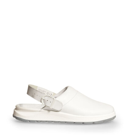 Clog Ferion