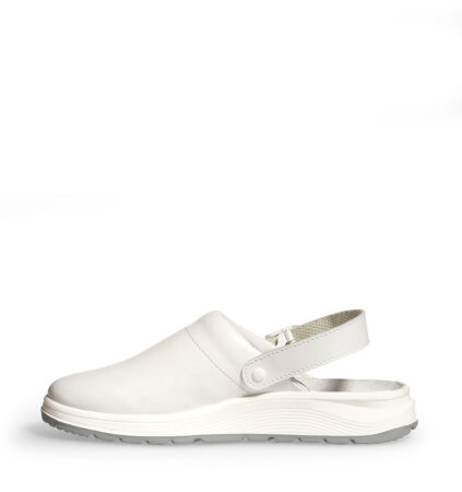 Clog Ferion