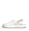 Clog Ferion