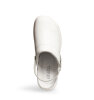 Clog Ferion